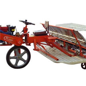 6 Rows Electric Operated Walking Rice Transplanter