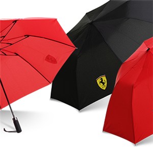 2 Fold Automatic Umbrella