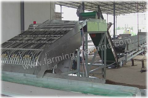 Full-automatic Fresh Corn Processing Line