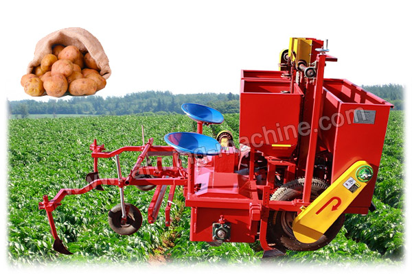 Potato Harvester