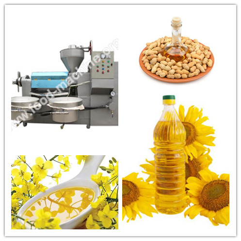 Automatic Screw Oil Press