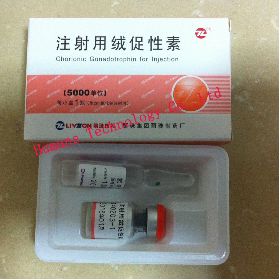HCG  Human Chorionic Gonadotropin /hasummertech@gmail.com