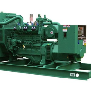 Natural Gas Generator Sets