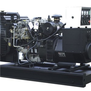 Perkins Generator Set