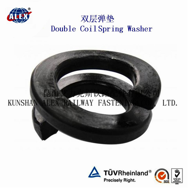 Double coil spring washer