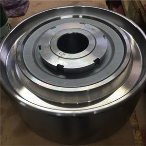 Stainless Steel Rollers Body Rings Bearing