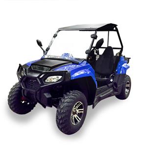 Adult 200cc Quad