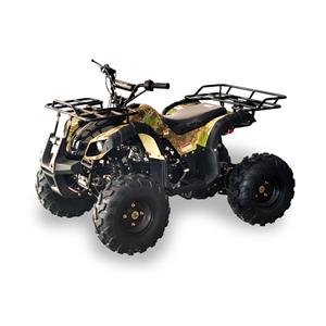 125CC 2WD ATV