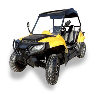 Adult 200cc Utility Vehicle