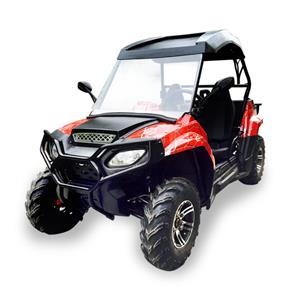 Adult 200cc Dune Buggy