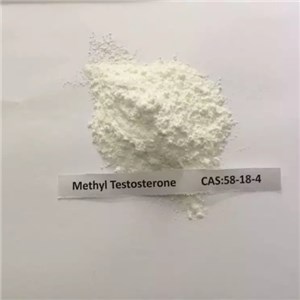 Methyl Testosterone（58-18-4）