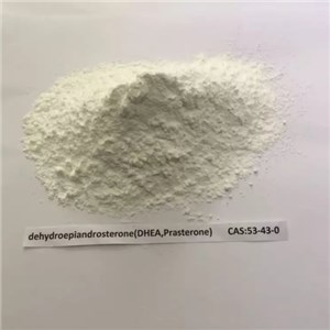 Dehydroepiandrosterone（53-43-0）