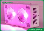High End 400 Watt Cob Led Grow Lights For Greenhouse Lighting