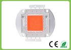 High Efficiency 50w Cob Full Spectrum Led Chip 660nm Led Grow Light Chip