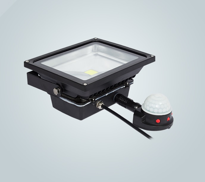 Promotioans Led flood light with sensor FL-S20