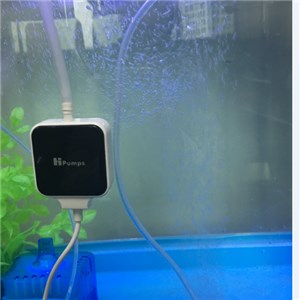 Micro Fish Pumps