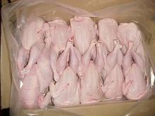 Frozen Chicken Feet, Paws, Breast, Halal Whole