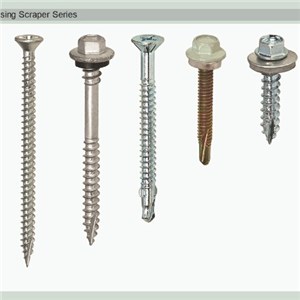 Casing Scraper Series SELF Tapping SCREW