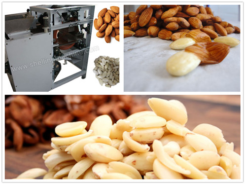 Almond Peeling Machine