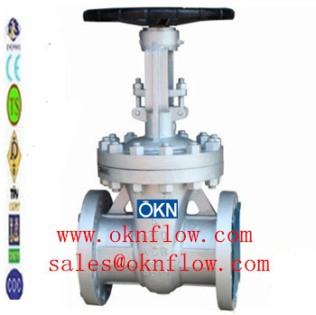1 Carbon steel flange RF RTJ gate valve /sales@oknflow.com 