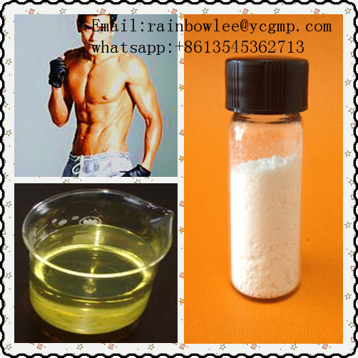 Nandrolone phenylpropionate (Steroids) Email:rainbowlee@ycgmp.com            whatsapp:+8613545362713