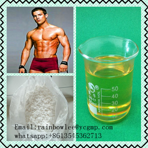 Boldenone undecylenate (Steroids)  Email:rainbowlee@ycgmp.com          whatsapp:+8613545362713