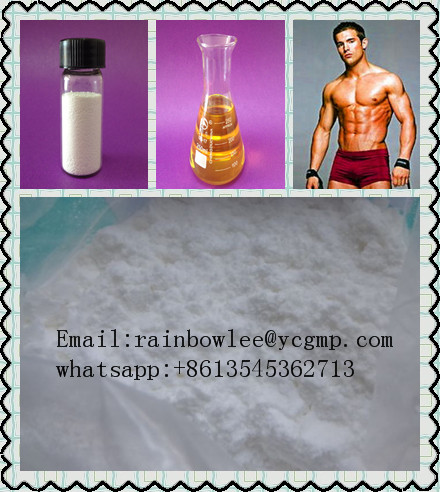 Epiandrosterone (Steroids) Email:rainbowlee@ycgmp.com           whatsapp:+8613545362713