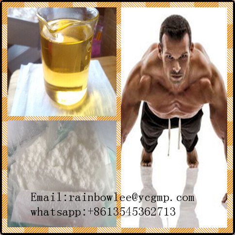 Dehydroisoandrosterone 3-acetate  Email:rainbowlee@ycgmp.com         whatsapp:+8613545362713