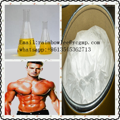 ExemestaneEmail:rainbowlee@ycgmp.com           whatsapp:+8613545362713