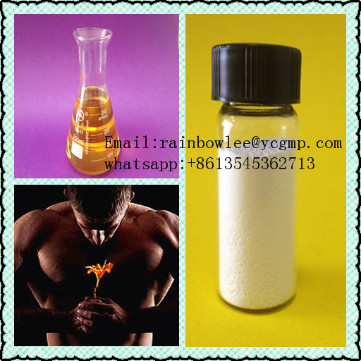 LetrozoleEmail:rainbowlee@ycgmp.com           whatsapp:+8613545362713
