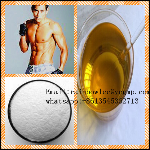 L-Epinephrine HydrochlorideEmail:rainbowlee@ycgmp.com             whatsapp:+8613545362713