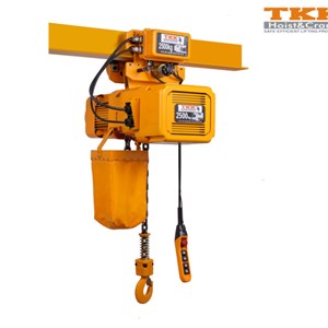 Inverter Type Dual Speed Electric Chain Hoist