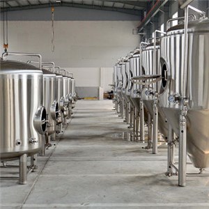 Minibrew Conical Fermenter