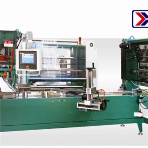 Fast Speed And Automatic Tray Packing Machine