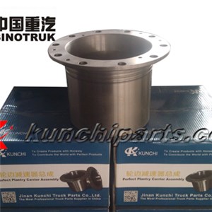 Sinotruk Howo 199112340029 STR Planetary Carrier Assembly