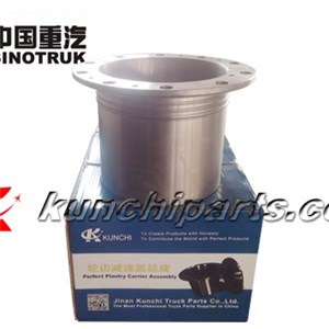 Sinotruk Howo AZ9981340070 Planetary Carrier Assembly