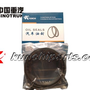 Sinotruk Howo AZ9100410061 Front Wheel Oil Seal 140*160*13
