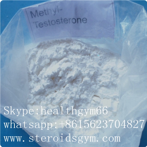 17-Alpha-Methyl-Testosterone www.steroidsgym.com