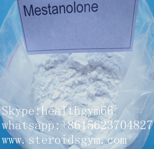 Mestanolone www.steroidsgym.com