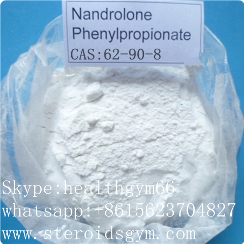 Nandrolone phenylpropionate  www.steroidsgym.com