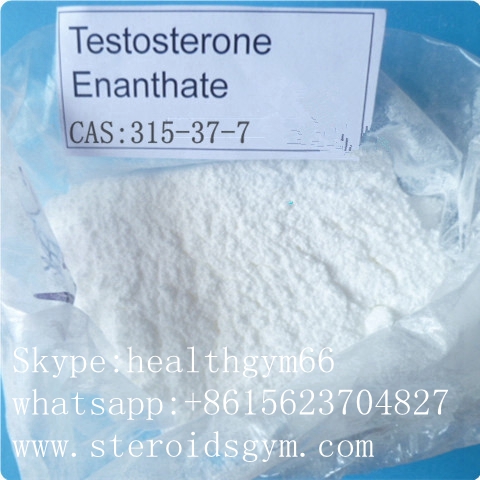 Testosterone enanthate www.steroidsgym.com