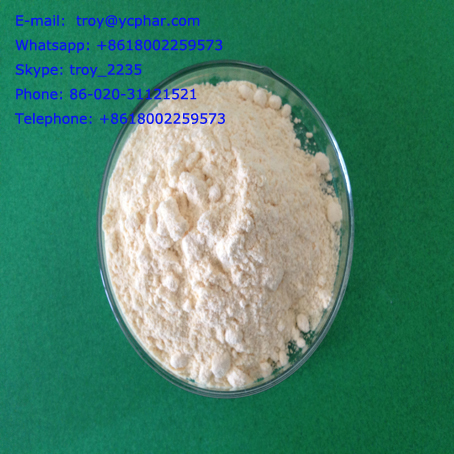 China Wholesale Price Testosterone Base with High Quality
