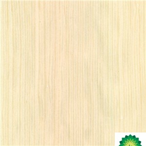 Maple Wood Veneer