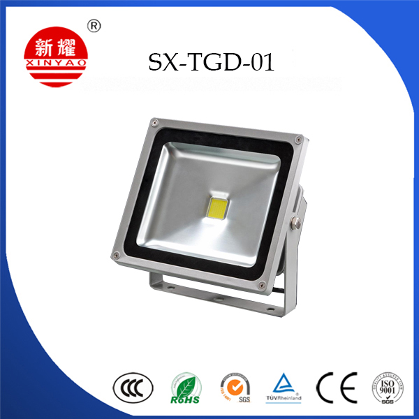 LED Flood Light