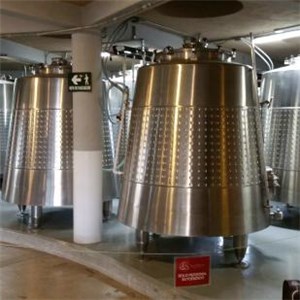 Cone Shaped Fermentation Tank