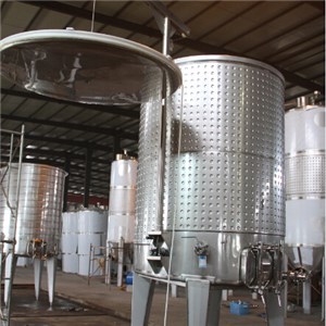 Variable Capacity Fermentation Tank