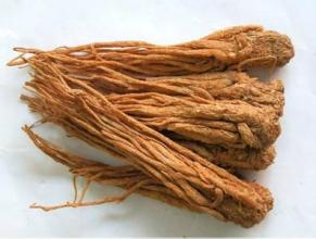 Angelica Extract Ligustilide