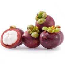 Mangosteen Extract Mangostin 