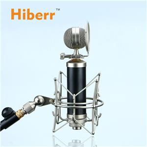 Instrument Microphone