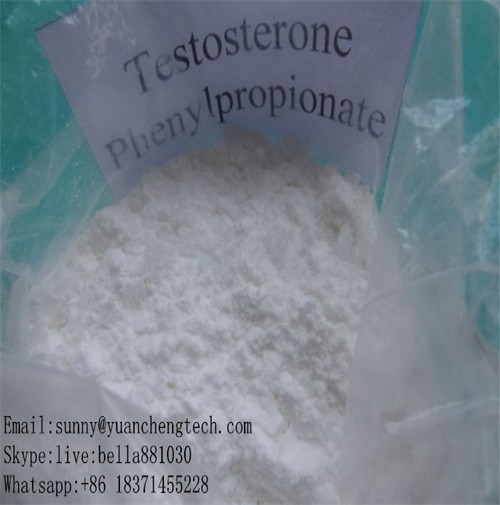Hormone Testosterone Phenylpropionate with High Purity CAS 1255-49-8